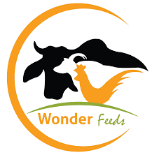 Wonder feeds